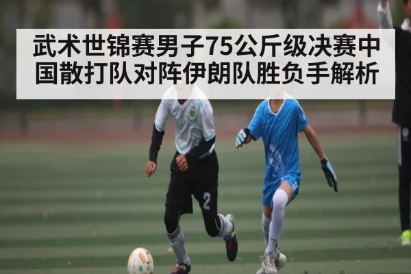 武术世锦赛男子75公斤级决赛中国散打队对阵伊朗队胜负手解析